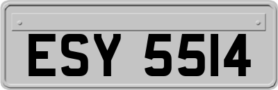 ESY5514