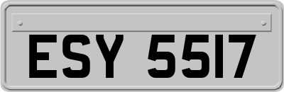 ESY5517