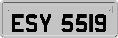 ESY5519