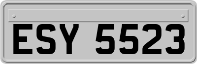 ESY5523