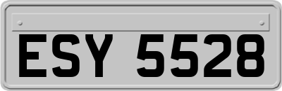 ESY5528