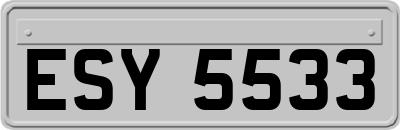 ESY5533