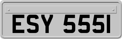 ESY5551