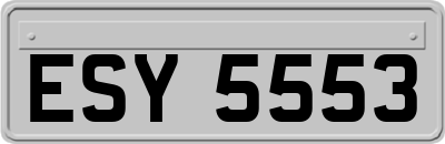 ESY5553