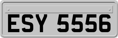 ESY5556