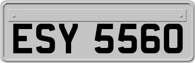 ESY5560