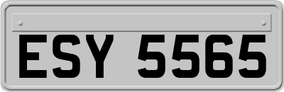 ESY5565