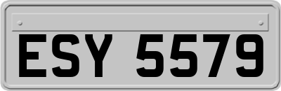 ESY5579