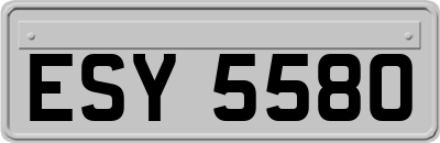 ESY5580