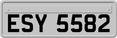 ESY5582