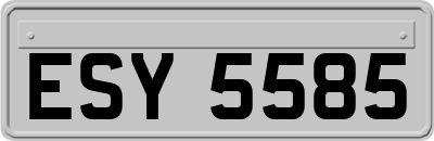 ESY5585