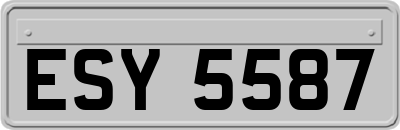 ESY5587