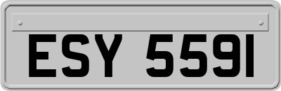 ESY5591
