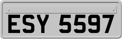 ESY5597