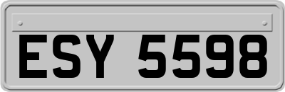 ESY5598