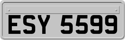 ESY5599