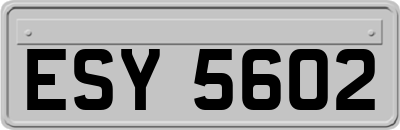 ESY5602