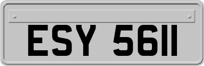ESY5611