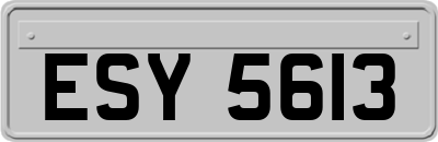 ESY5613