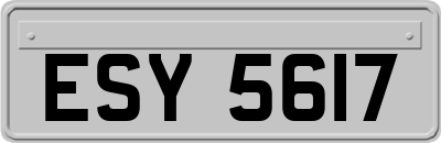 ESY5617