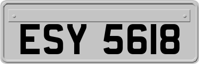 ESY5618