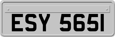 ESY5651