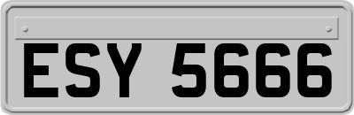ESY5666