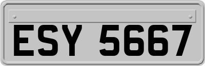 ESY5667