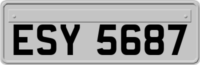 ESY5687