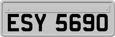 ESY5690