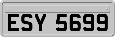 ESY5699