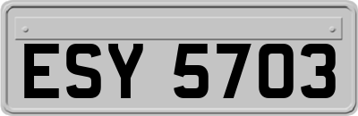 ESY5703