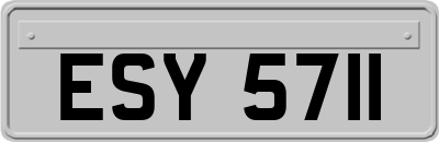 ESY5711
