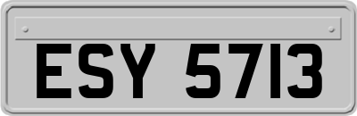 ESY5713