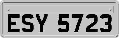 ESY5723