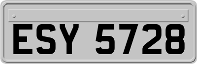 ESY5728