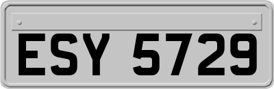 ESY5729