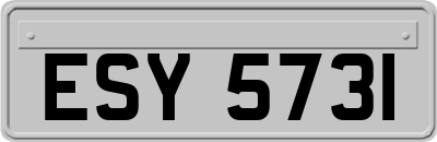 ESY5731