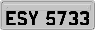 ESY5733