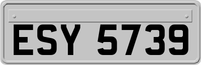 ESY5739