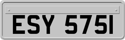 ESY5751