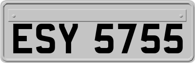 ESY5755