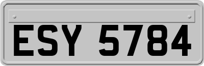 ESY5784