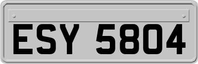 ESY5804