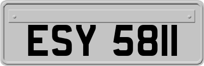 ESY5811