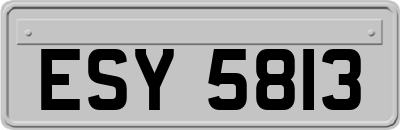 ESY5813