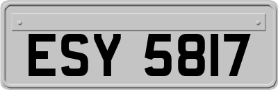 ESY5817