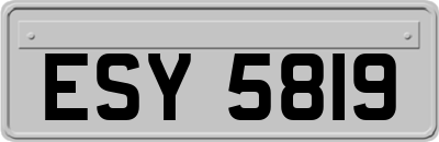 ESY5819