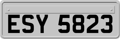 ESY5823