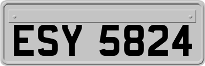 ESY5824